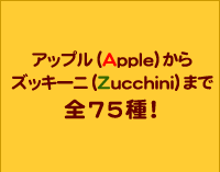 アップル（Apple）からズッキーニ（Zucchini）まで全75種！