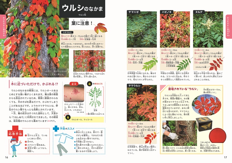 『②毒のある植物と応急手当』見開き1
